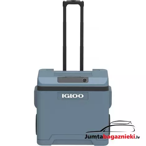 Igloo IE42 220-240V AC/12V DC 42 L 9620013371