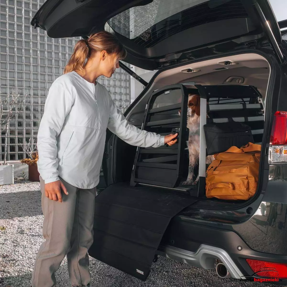 Thule Allax L Compact, 770003 Thule Allax L Compact, 770003