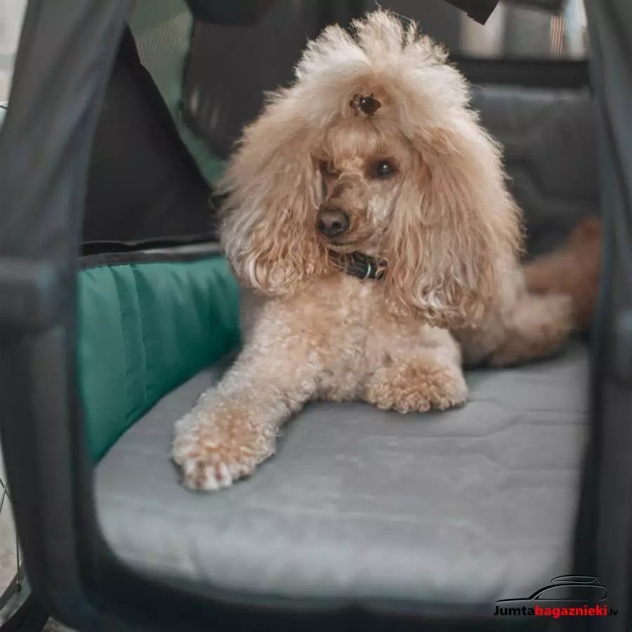 Thule Bexey dog bed M, 800006 Thule Bexey dog bed M, 800006