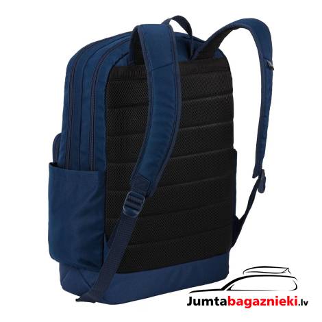 Case Logic Query 29L