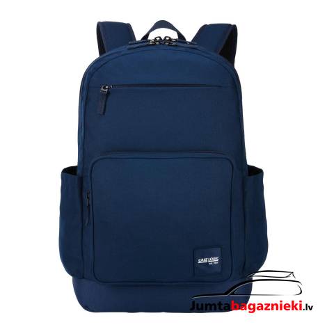 Case Logic Query 29L