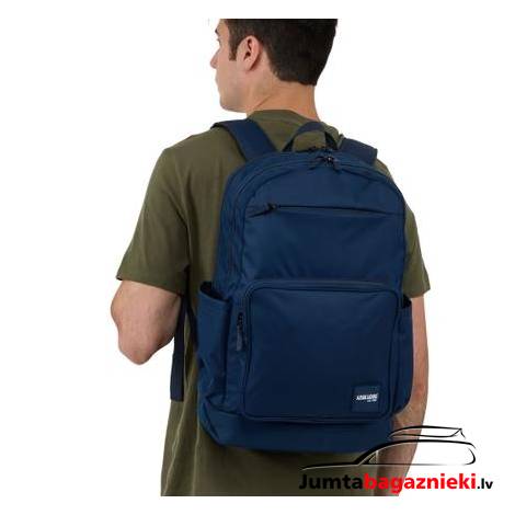 Case Logic Query 29L