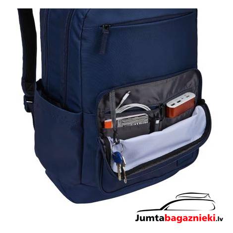 Case Logic Query 29L