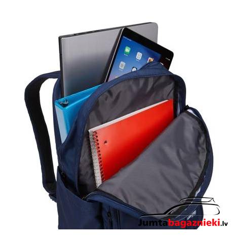 Case Logic Query 29L