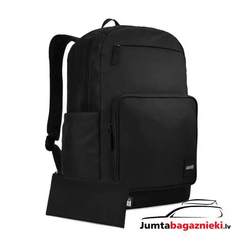 Case Logic Query 29L 3204797