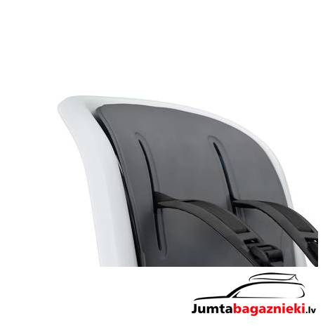Thule RideAlong 2