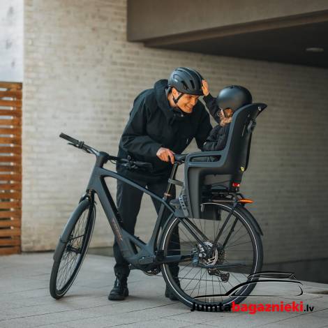 Thule RideAlong 2