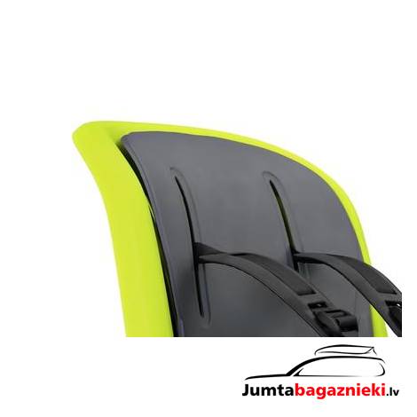 Thule RideAlong 2
