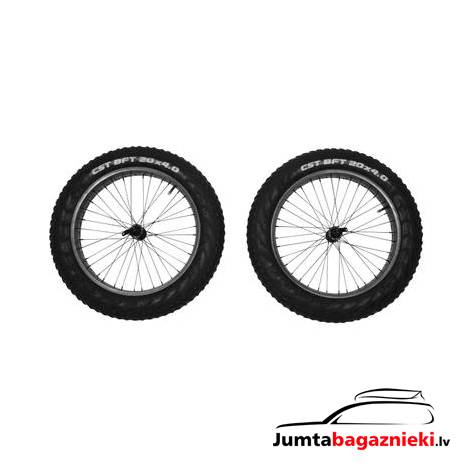 Reacha Sport Copy