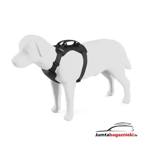 Thule Cappy S, 771001