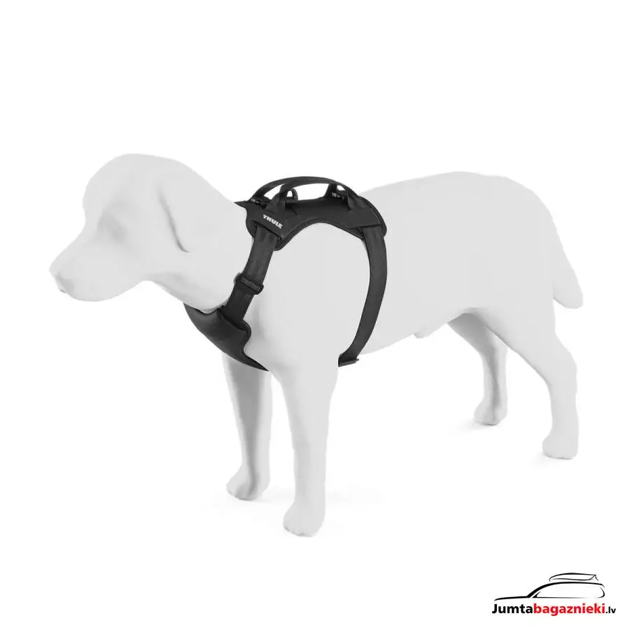 Thule Cappy M, 771002 Thule Cappy M, 771002