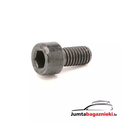Thule 753 skrūve 30304